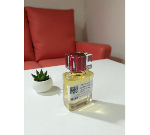 ZAM ZAM - MIDNIGHT FANTASY (мотив)