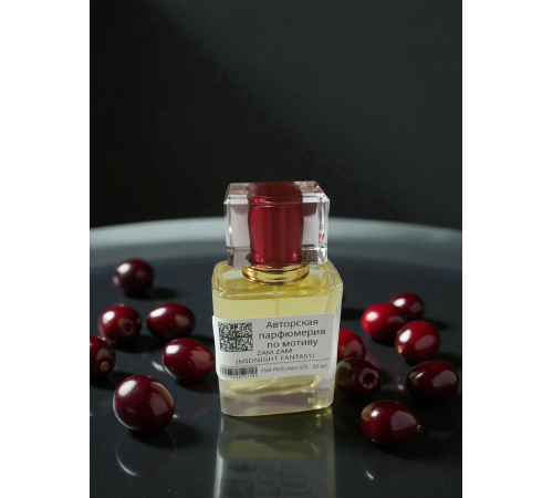 ZAM ZAM - MIDNIGHT FANTASY (мотив)