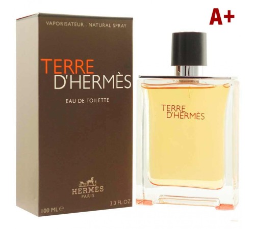 A + Terre D`Hermes, edt., 100 ml