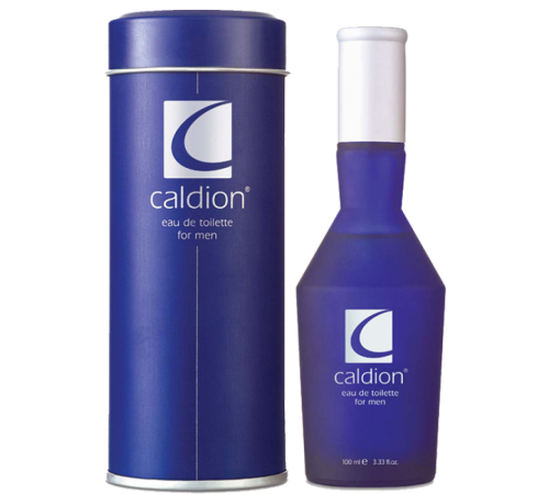 Caldion Man, edt., 100 ml, Парфюмерия Люкс