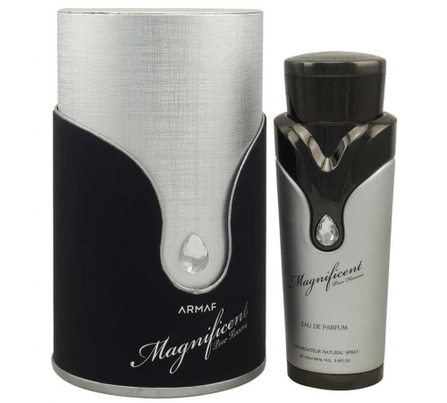 Armaf Magnificent Pour Homme, edp., 100 ml, Распродажа