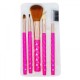 Набор кистей для макияжа Meiyni Beauty Brush Set, 5шт