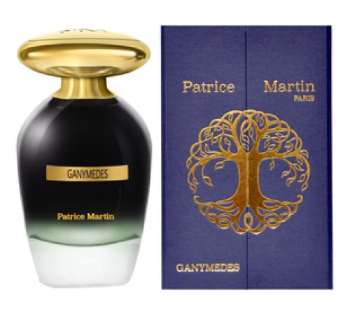 PATRICE MARTIN Ganymedes оригинал PATRICE MARTIN Ganymedes оригинал